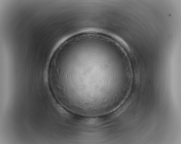 X0000114571279200910191456