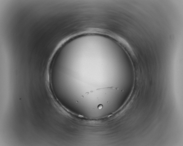 X0000114571280200910191456