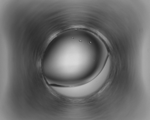 X0000114571281200910191456