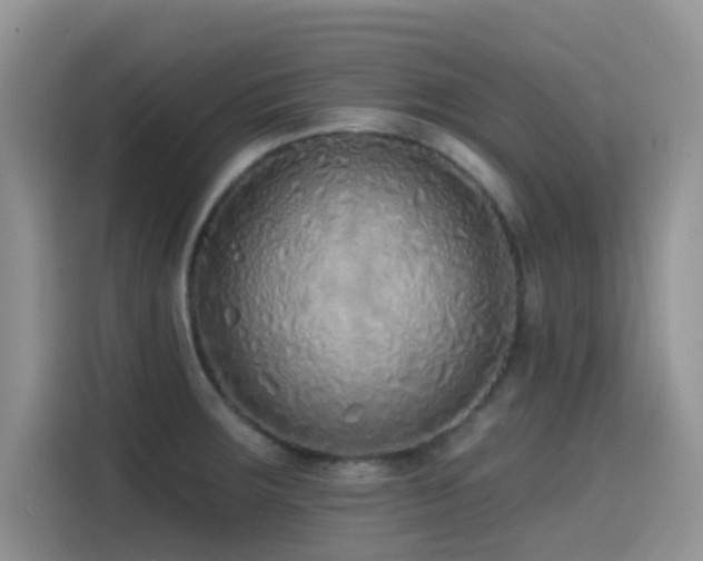 X0000114571283200910191456