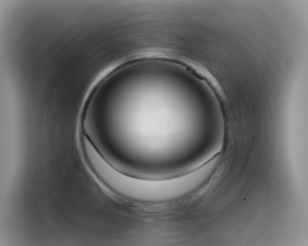 X0000114571285200910191456