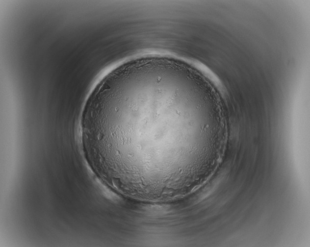 X0000114571287200910191456