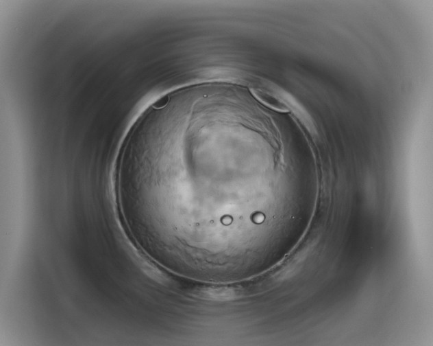 X0000114571291200910191456
