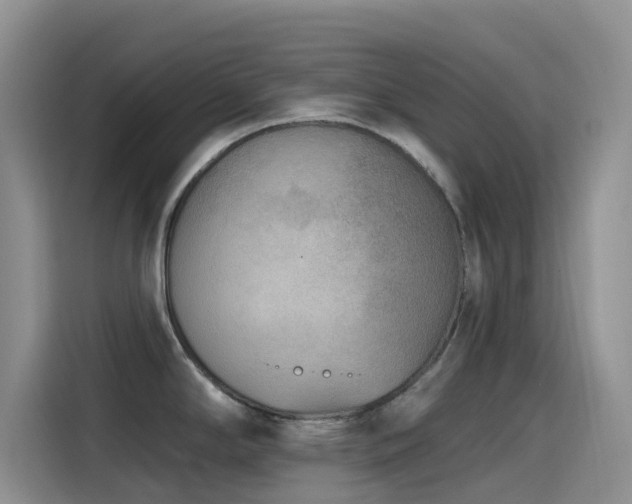 X0000114571294200910191456