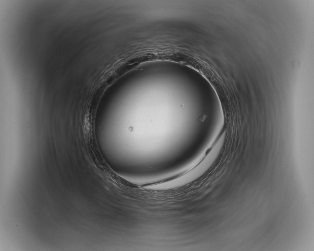 X0000114571298200910191455