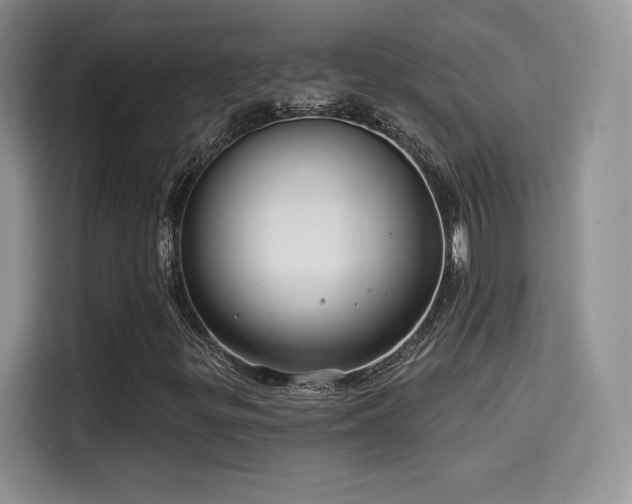 X0000114571299200910191455