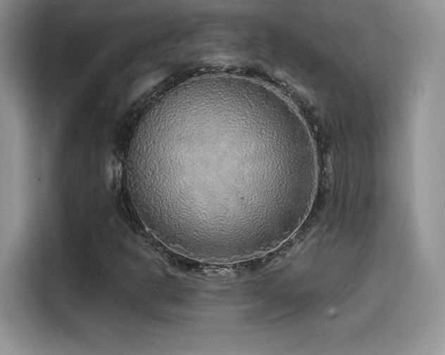 X0000114571302200910191455