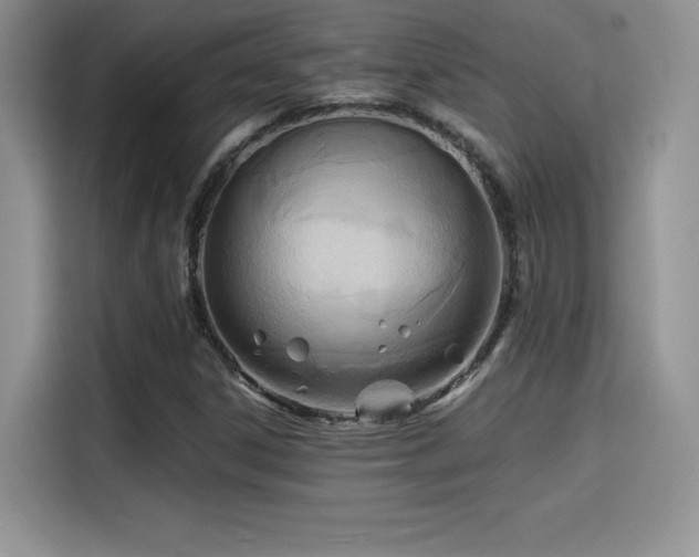 X0000114571306200910191455