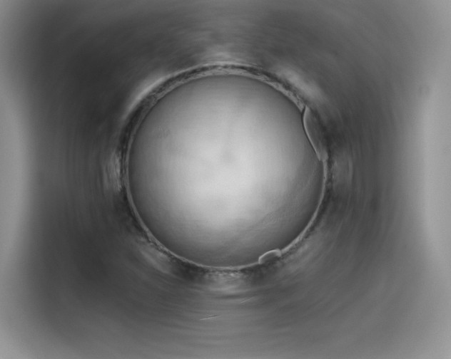X0000114571310200910191455