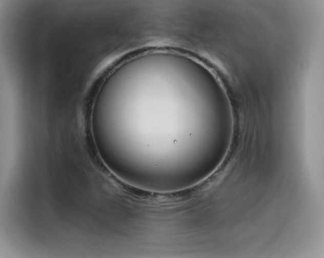 X0000114571311200910191455