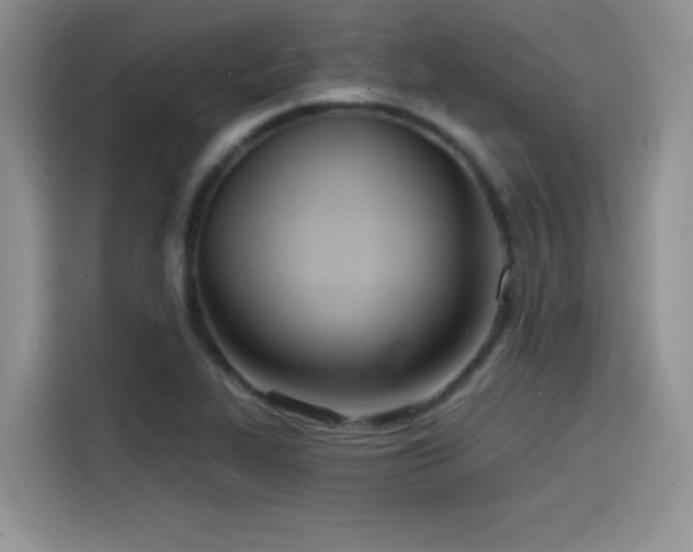 X0000114571319200910191455