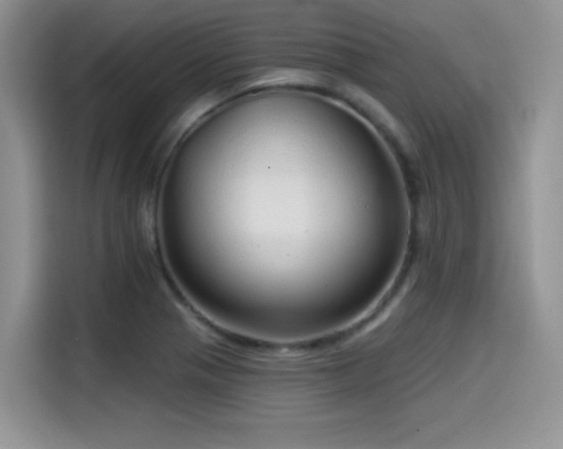 X0000114571321200910191455