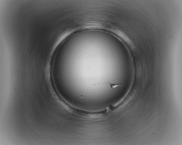 X0000114571325200910191455