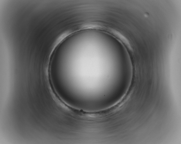 X0000114571330200910191455
