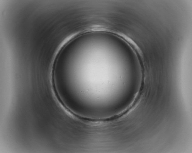 X0000114571333200910191455