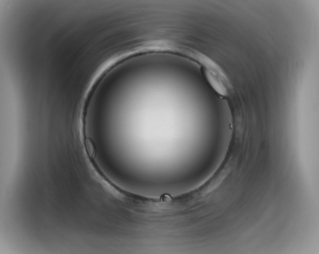 X0000114571334200910191455