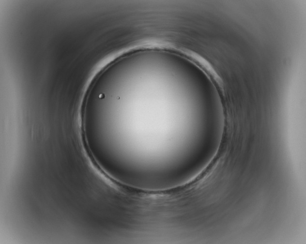 X0000114571335200910191455