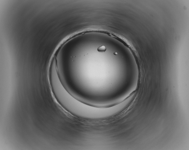 X0000114571342200910191455