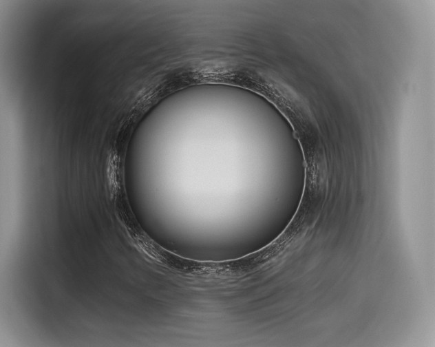 X0000114571346200910191455
