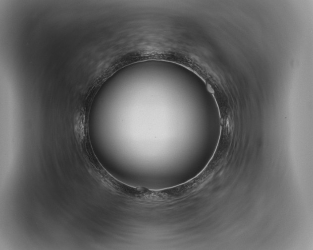 X0000114571348200910191455