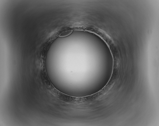 X0000114571350200910191455