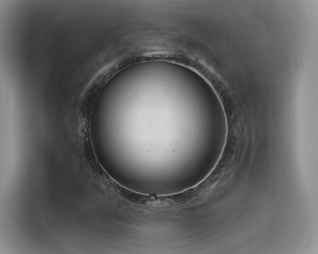 X0000114571351200910191455