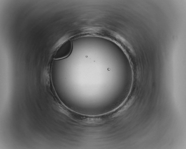 X0000114571354200910191455