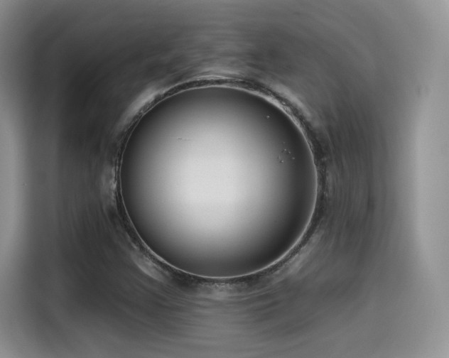 X0000114571355200910191455