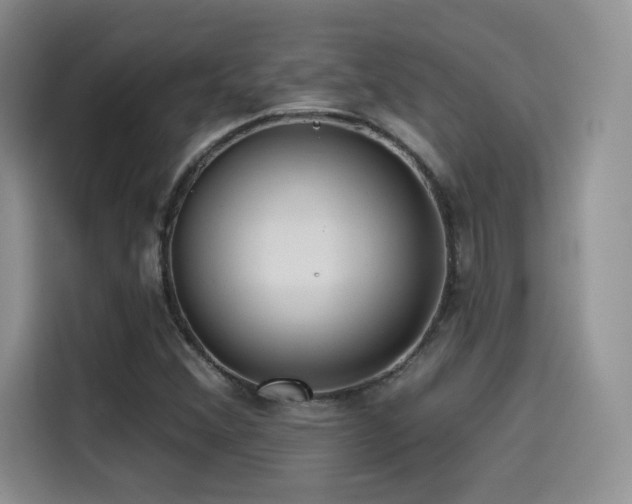 X0000114571356200910191455