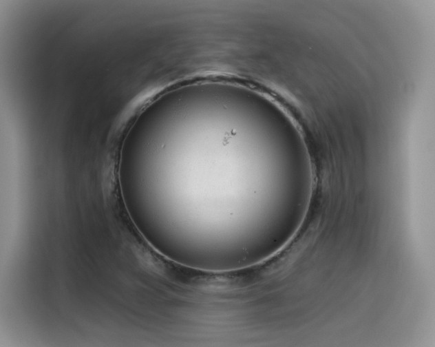 X0000114571359200910191455
