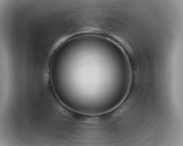 X0000114571363200910191455