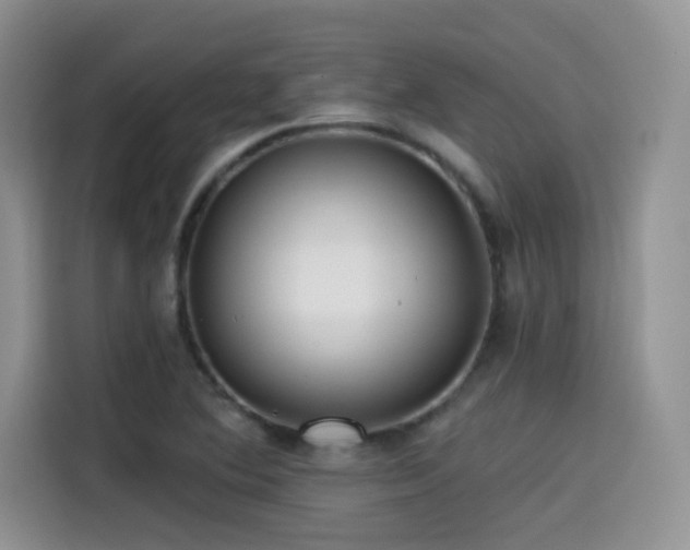 X0000114571364200910191455