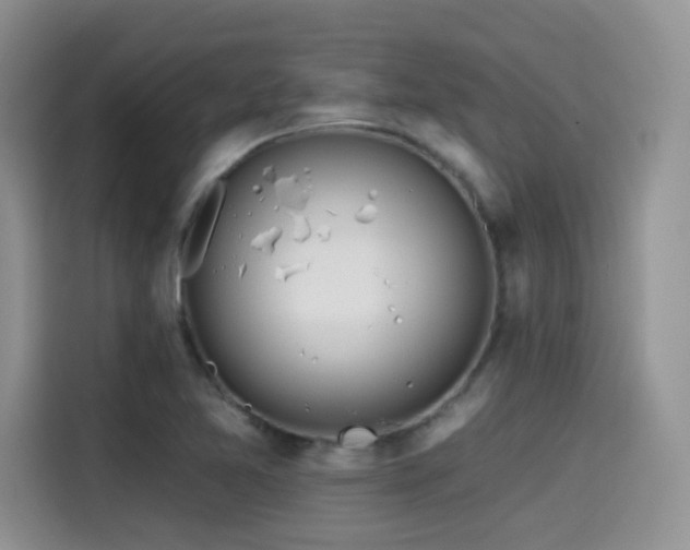 X0000114571365200910191455