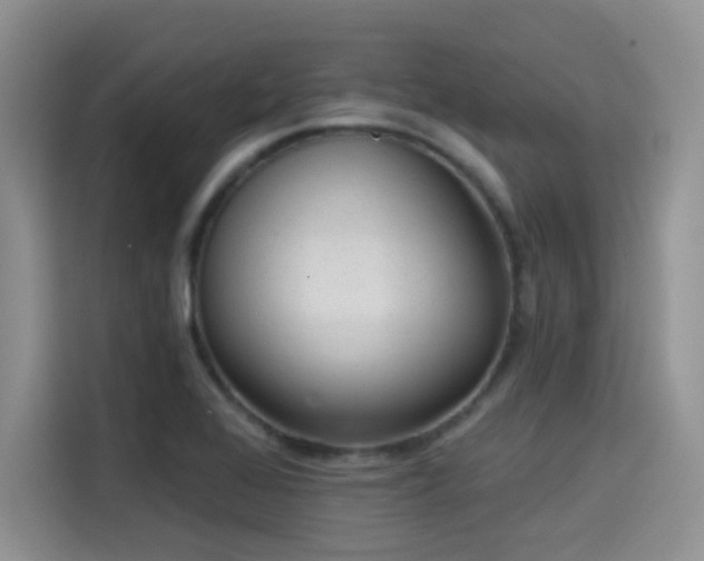 X0000114571368200910191455