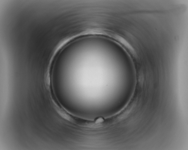 X0000114571372200910191455