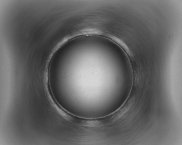 X0000114571383200910191454