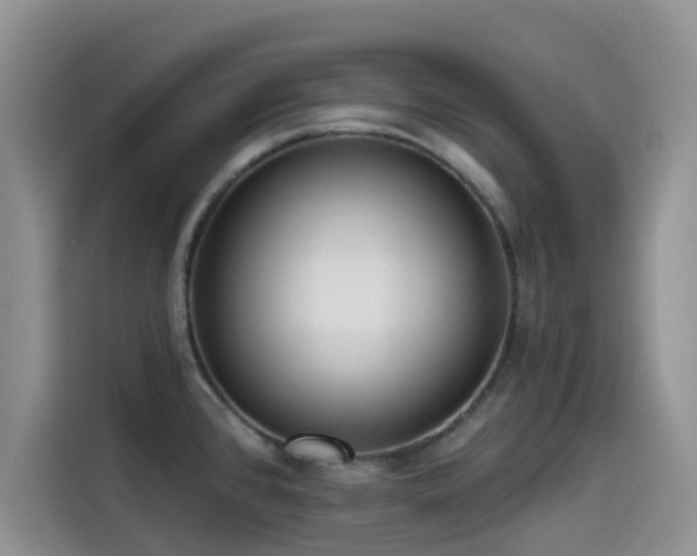 X0000114571384200910191454
