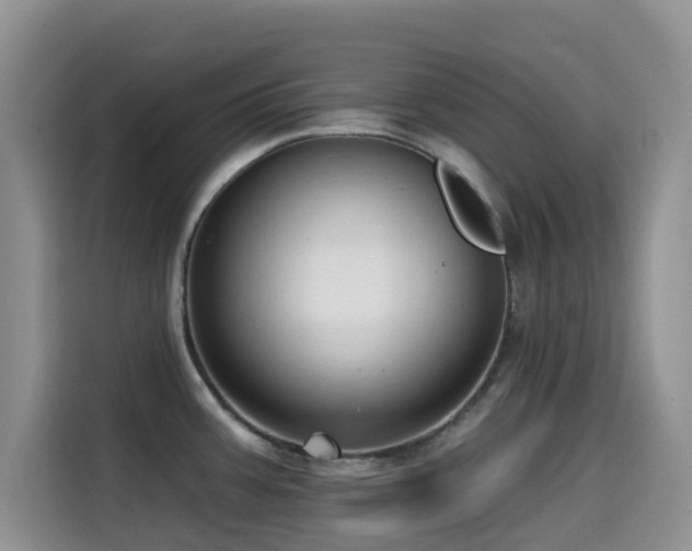 X0000114571387200910191454