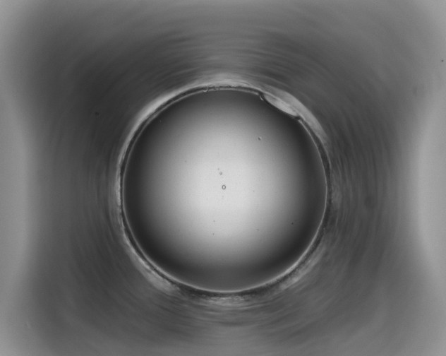 X0000114571388200910191454