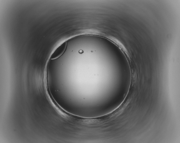 X0000114571391200910191454