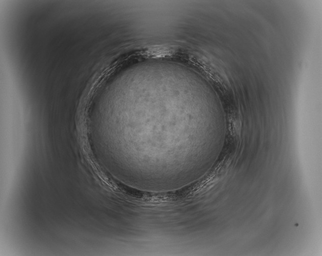 X0000114571393200910191454