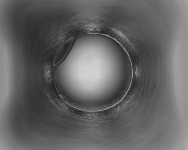 X0000114571396200910191454