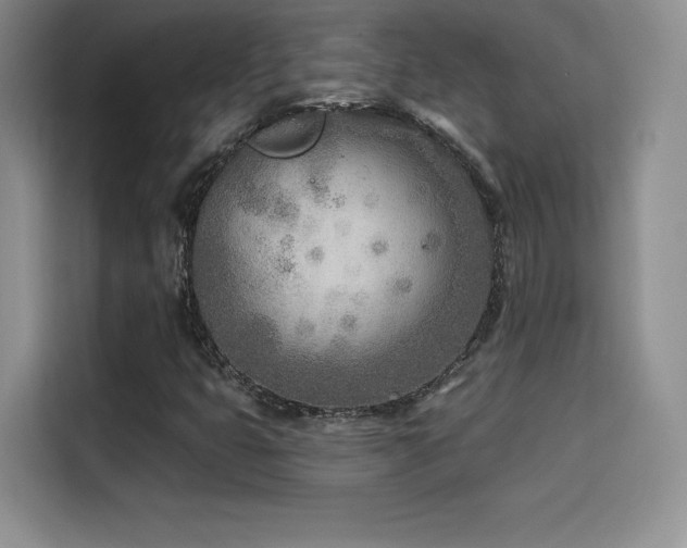 X0000114571399200910191454
