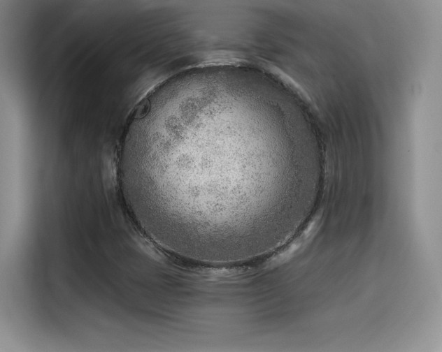 X0000114571401200910191454
