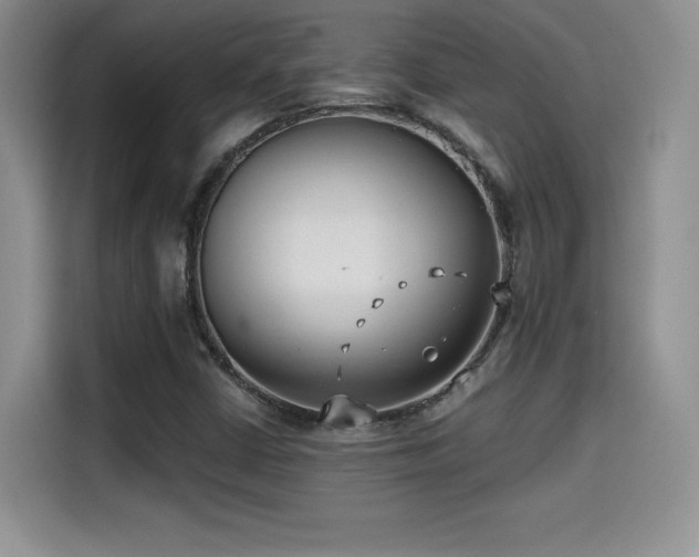 X0000114571402200910191454