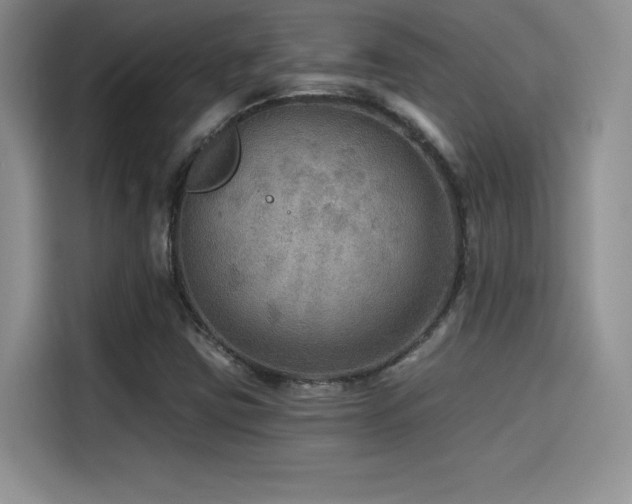 X0000114571403200910191454