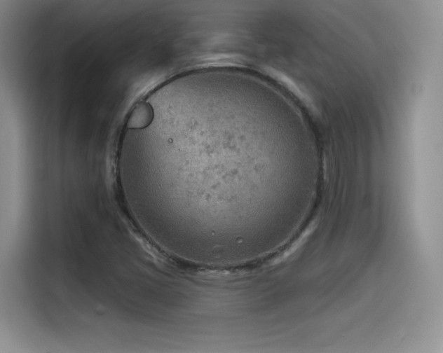 X0000114571405200910191454