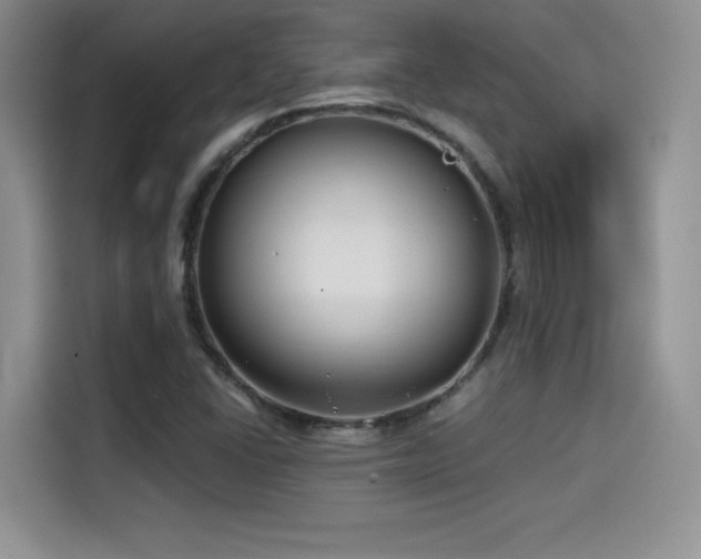 X0000114571406200910191454
