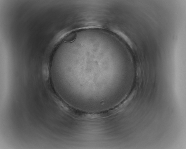 X0000114571407200910191454