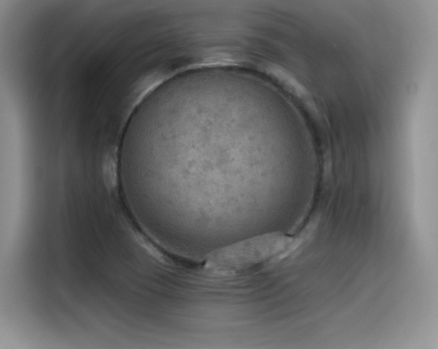 X0000114571409200910191454